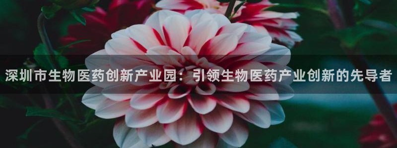九游会官网登入首页
