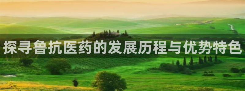 ag改九游会