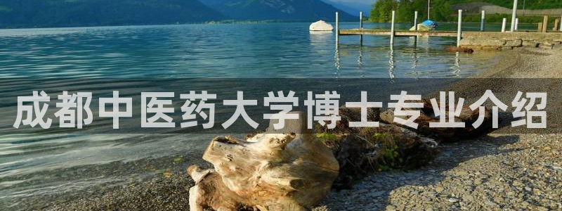 九游会平台j9