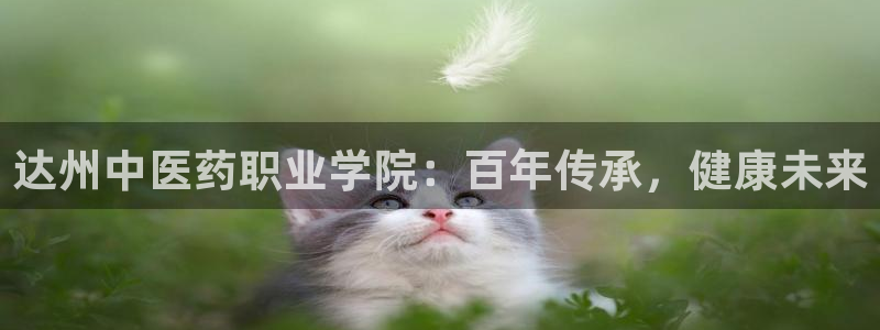 九游会j9官网网站