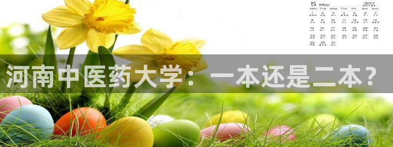 九游会上不去了