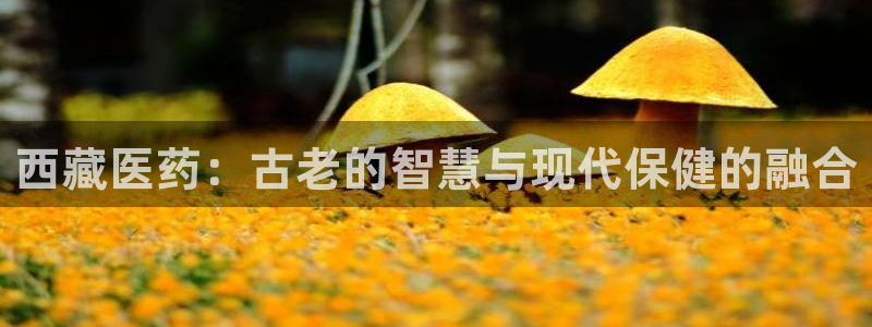 J9九游会旧版