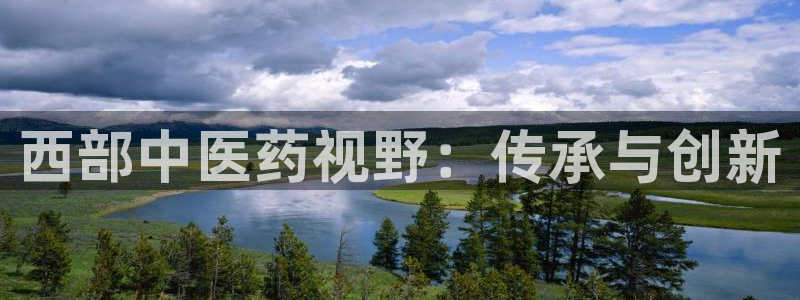 九游会平台怎么样