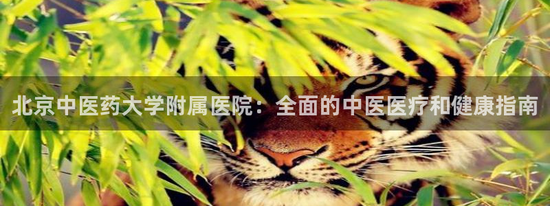 j9九游会平台信誉怎么样