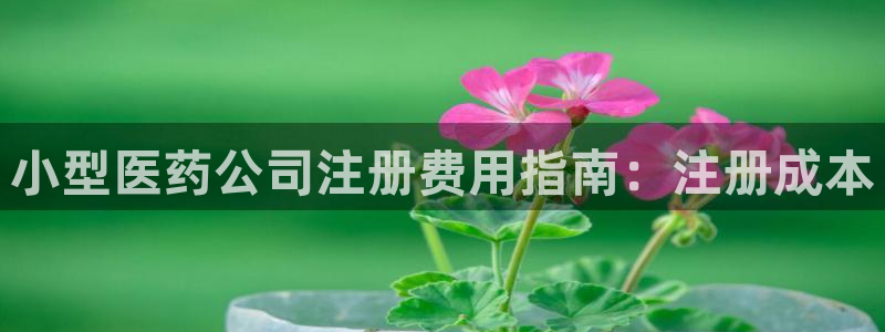 九游会中国官方网站
