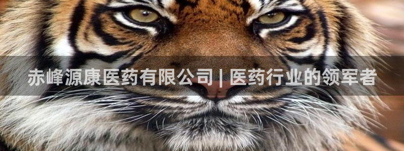 九游会员官网真人游戏第一品牌