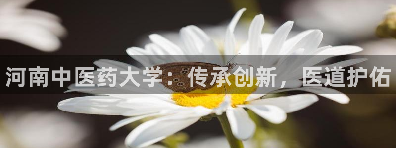 九游会 网址