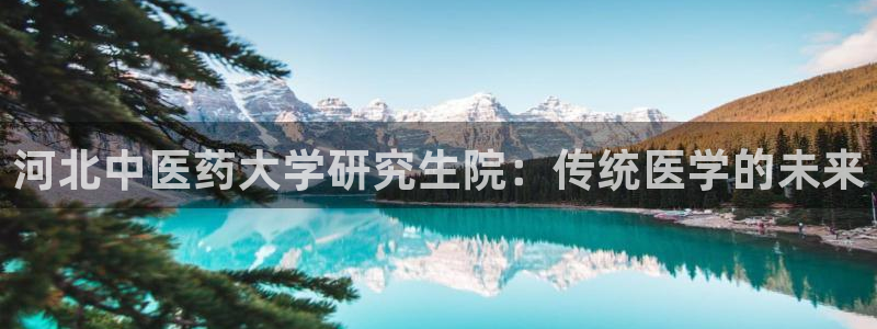 九游会登录网站