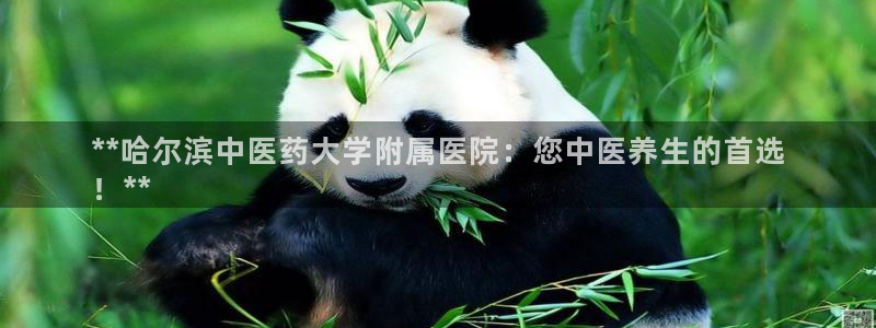 九游会老哥俱乐部论坛版