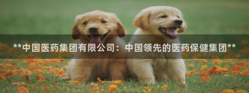 j9官网豪华游