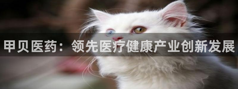 j9九游会平台信誉怎么样