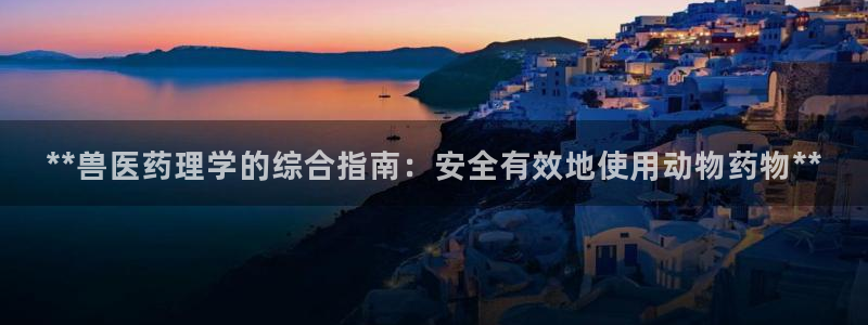 九游会a?g