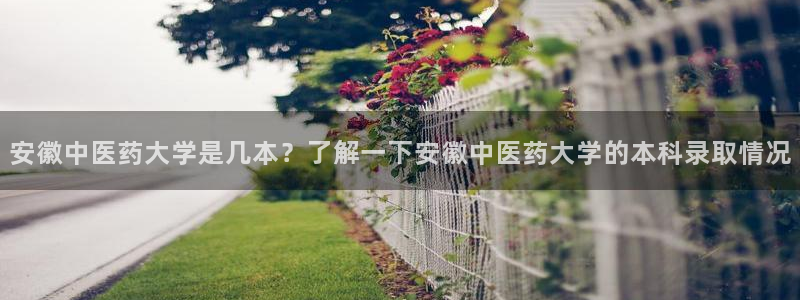 九游会集团货币